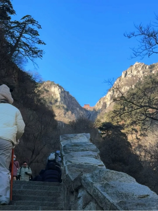 米兰体育包含里程碑夜山东泰山防线松动；亚冠冲刺阶段刷纪录；震撼外界；阵容厚度经受考验的词条